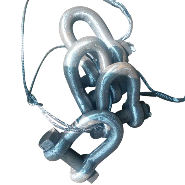 D tipo sujungimo pančius (LTM Shackle)